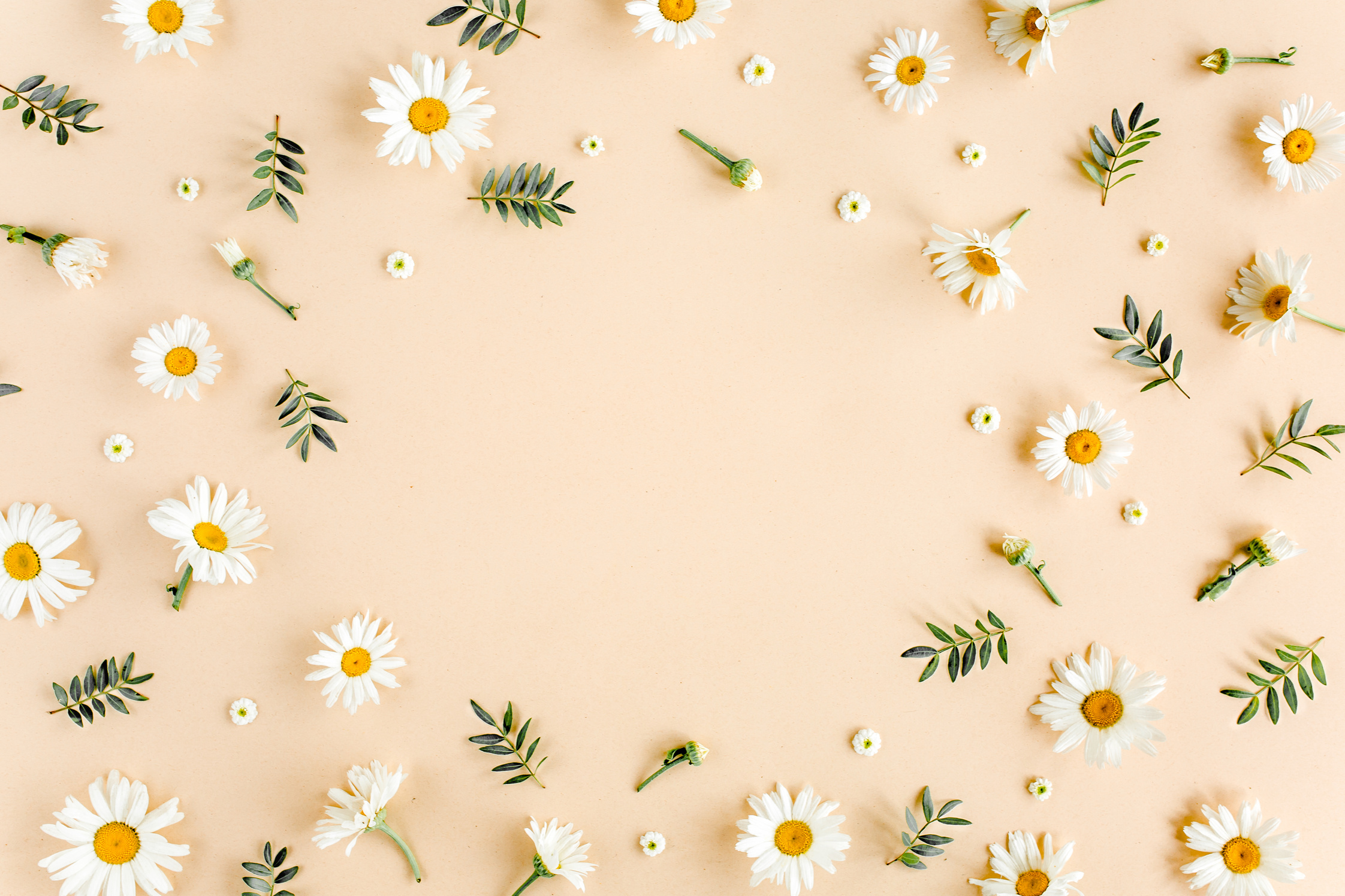 Daisies Flatlay